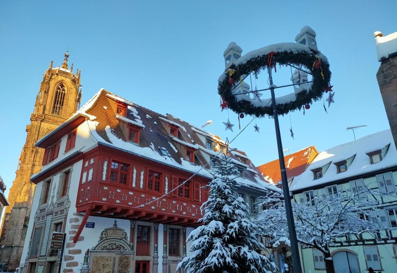 La Maison Bleue, A 20 Mn De Strasbourg, Sur La Route Des Vins, Jusqu'A 6 Personnes, Sélestat Exterior photo
