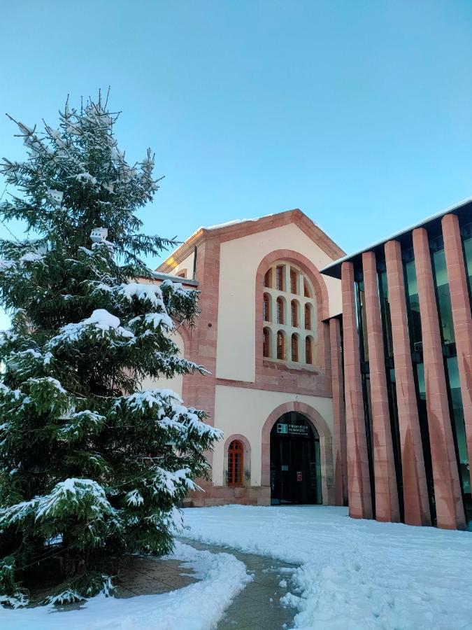 La Maison Bleue, A 20 Mn De Strasbourg, Sur La Route Des Vins, Jusqu'A 6 Personnes, Sélestat Exterior photo