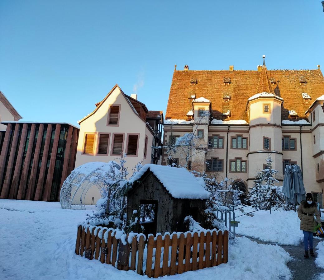 La Maison Bleue, A 20 Mn De Strasbourg, Sur La Route Des Vins, Jusqu'A 6 Personnes, Sélestat Exterior photo