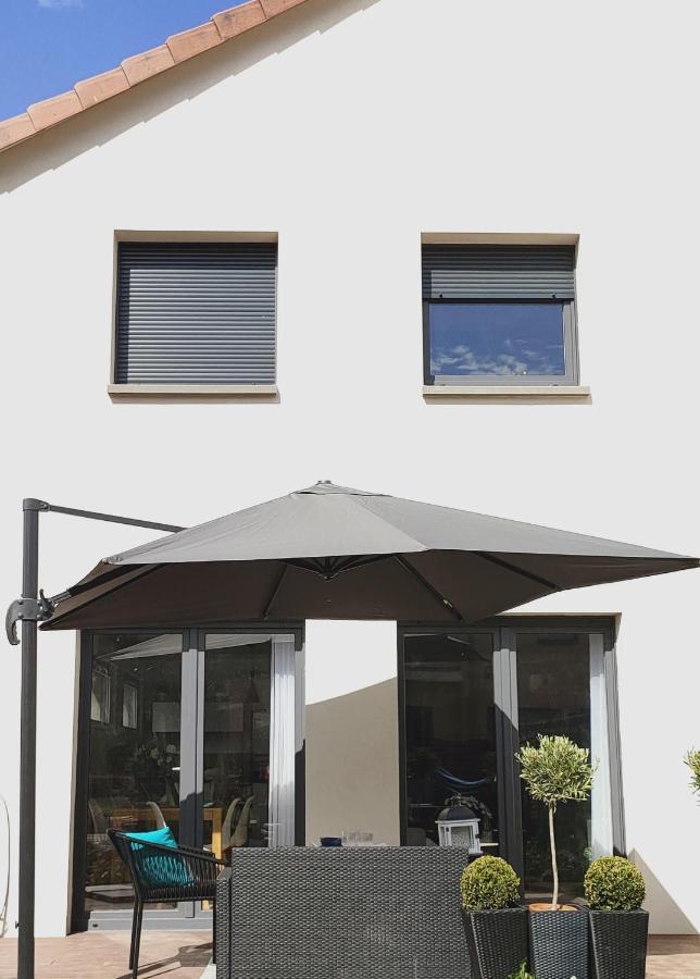 La Maison Bleue, A 20 Mn De Strasbourg, Sur La Route Des Vins, Jusqu'A 6 Personnes, Sélestat Exterior photo