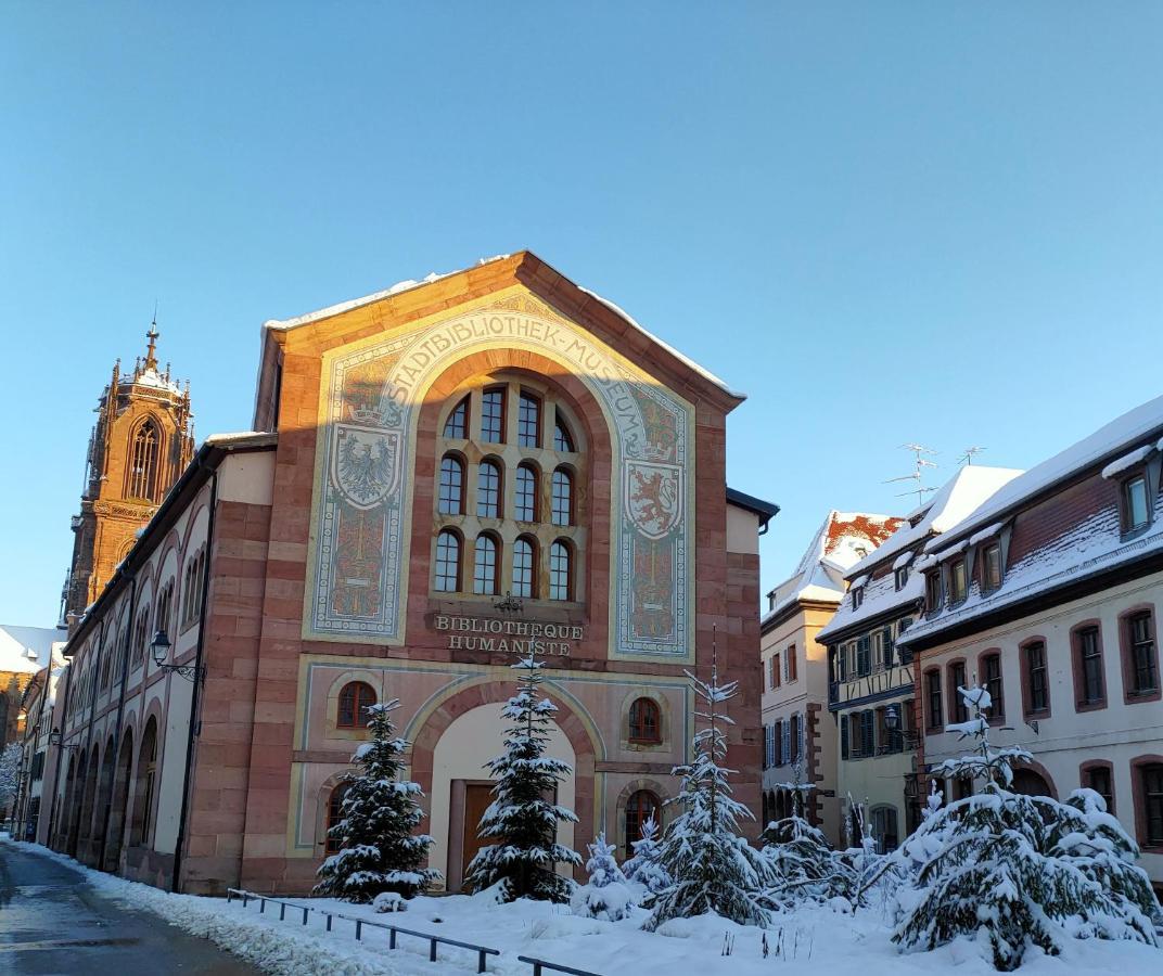 La Maison Bleue, A 20 Mn De Strasbourg, Sur La Route Des Vins, Jusqu'A 6 Personnes, Sélestat Exterior photo